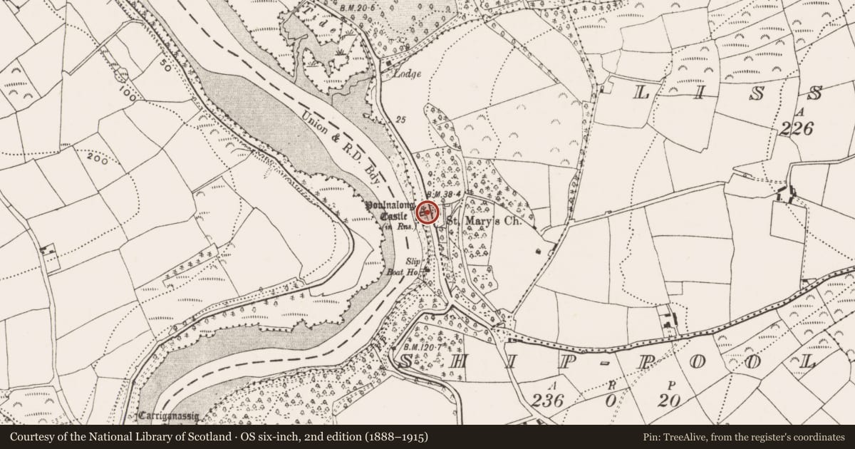 Ordnance Survey six-inch map, 2nd edition (1888–1915) covering the location of Castle - tower house, Ship-Pool, County Cork, with a pin at the register's coordinates