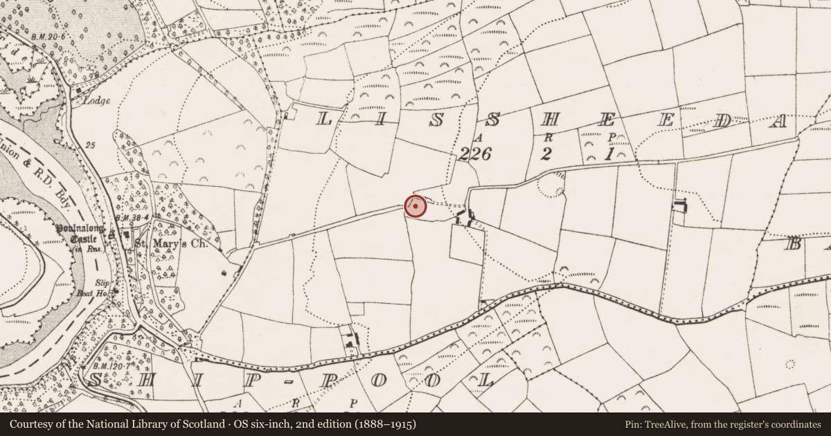 Ordnance Survey six-inch map, 2nd edition (1888–1915) covering the location of Earthwork, Lissheeda, County Cork, with a pin at the register's coordinates