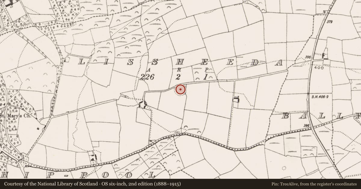 Ordnance Survey six-inch map, 2nd edition (1888–1915) covering the location of Ringfort - rath, Lissheeda, County Cork, with a pin at the register's coordinates