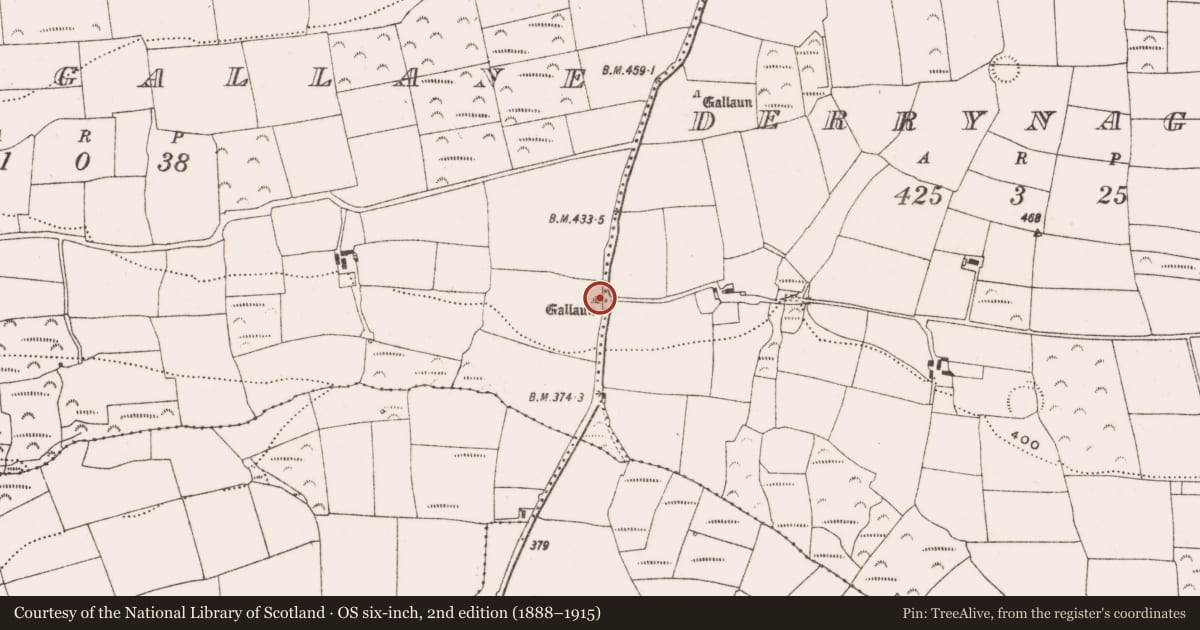 Ordnance Survey six-inch map, 2nd edition (1888–1915) covering the location of Standing stone, Slievegallane, County Cork, with a pin at the register's coordinates