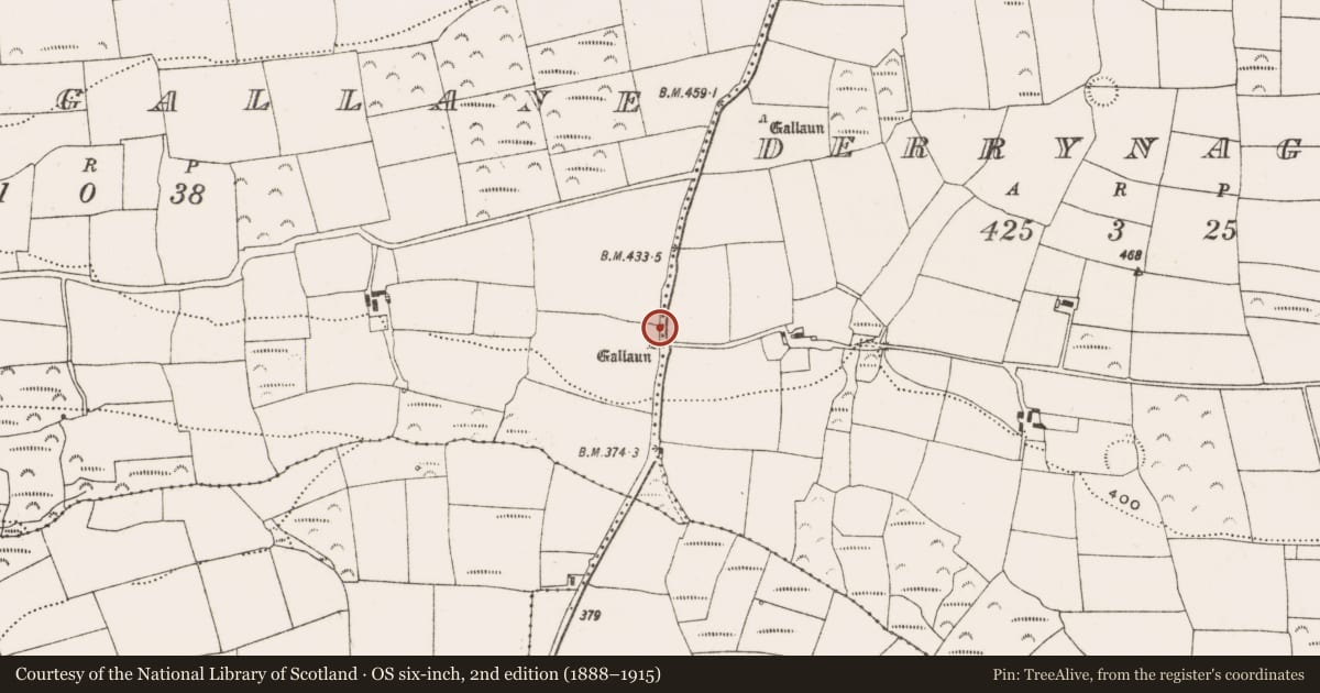 Ordnance Survey six-inch map, 2nd edition (1888–1915) covering the location of Standing stone, Slievegallane, County Cork, with a pin at the register's coordinates