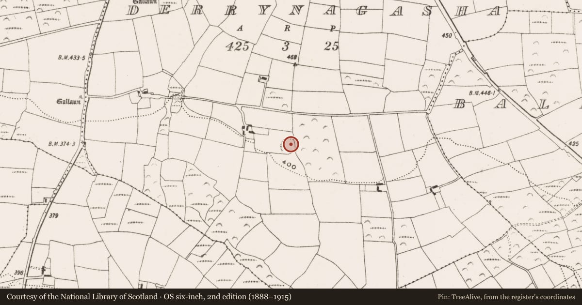 Ordnance Survey six-inch map, 2nd edition (1888–1915) covering the location of Ringfort - rath, Derrynagasha, County Cork, with a pin at the register's coordinates