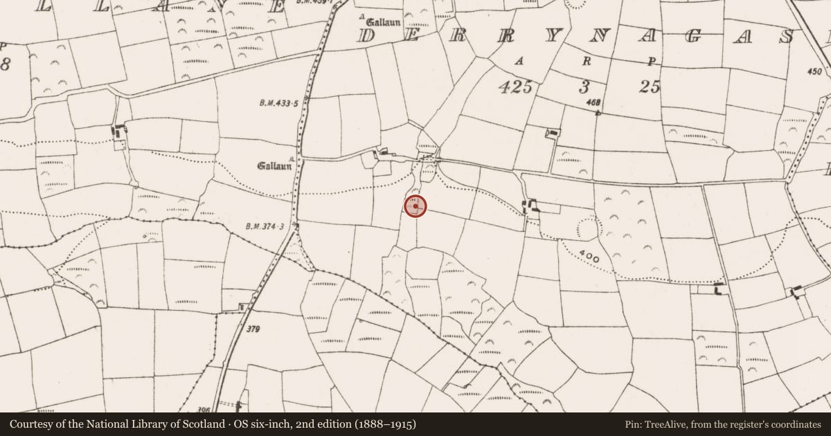 Ordnance Survey six-inch map, 2nd edition (1888–1915) covering the location of Fulacht fia, Derrynagasha, County Cork, with a pin at the register's coordinates