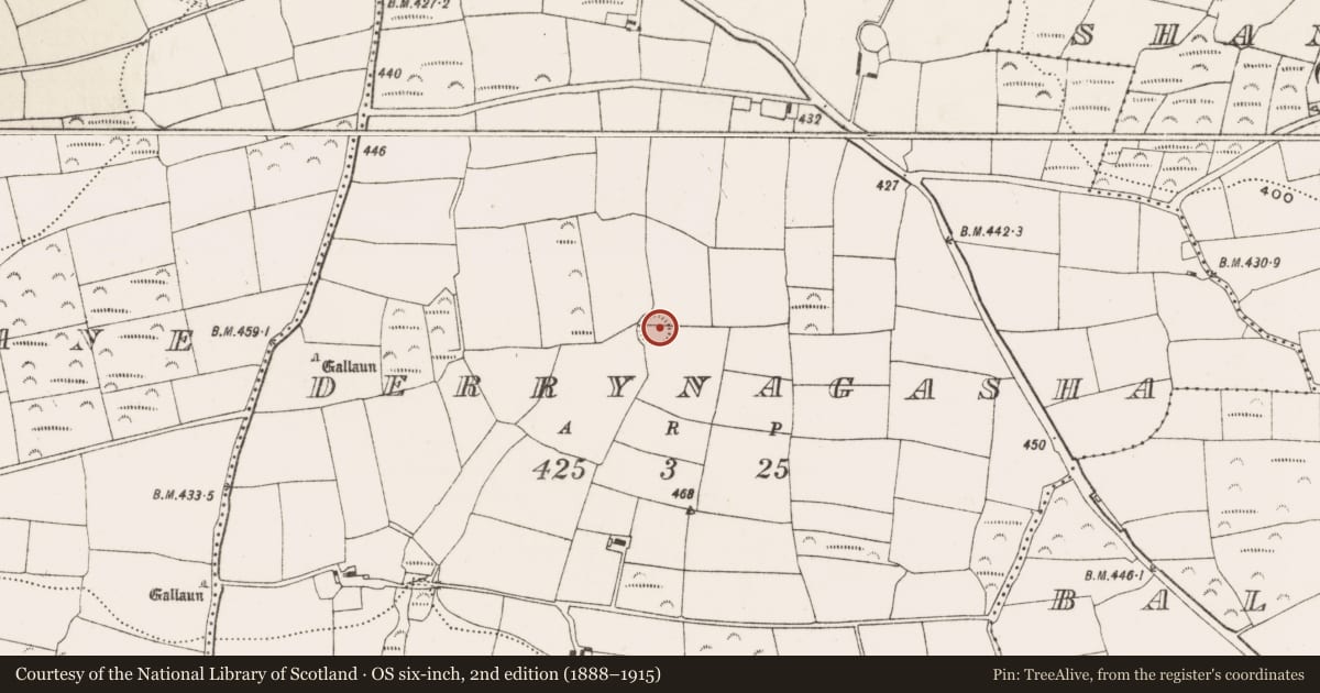 Ordnance Survey six-inch map, 2nd edition (1888–1915) covering the location of Ringfort - rath, Derrynagasha, County Cork, with a pin at the register's coordinates