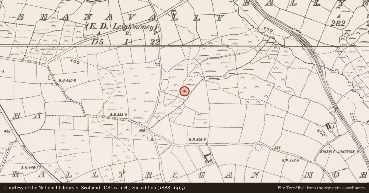 Ordnance Survey six-inch map, 2nd edition (1888–1915) covering the location of Fulacht fia, Shanavally (Kinalea By., Leighmoney Par.), County Cork, with a pin at the register's coordinates