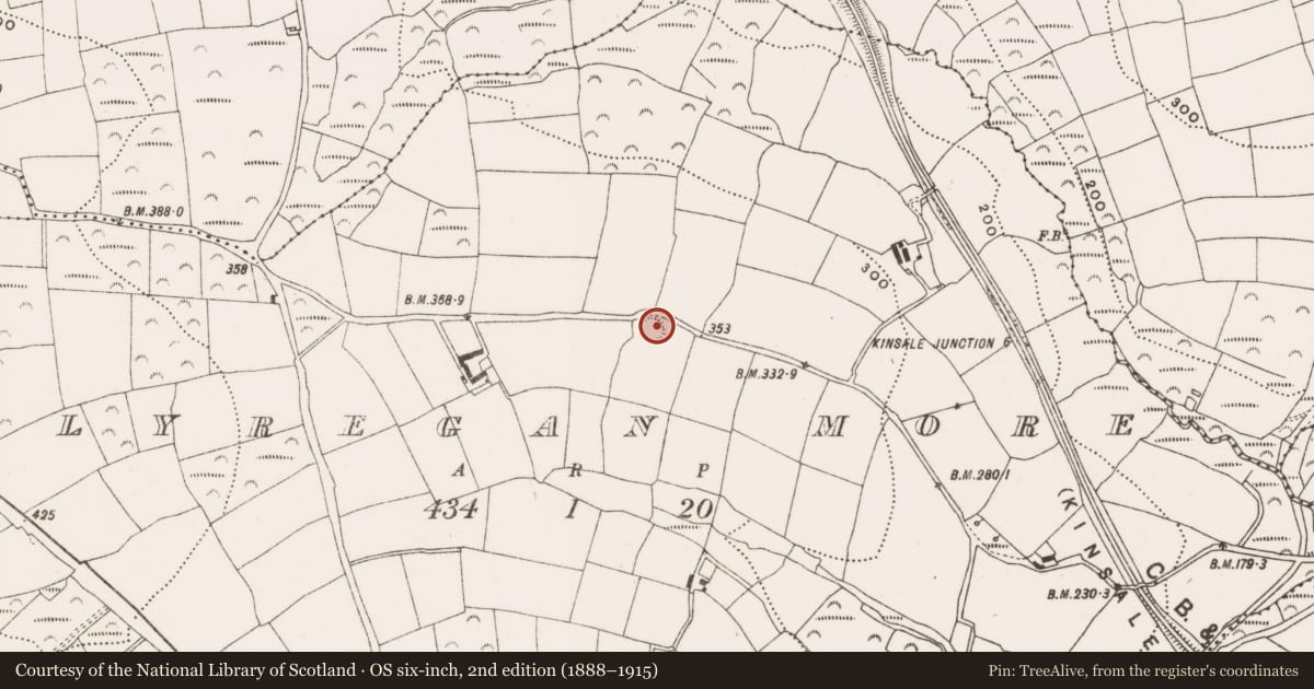 Ordnance Survey six-inch map, 2nd edition (1888–1915) covering the location of Ringfort - rath, Ballyregan More, County Cork, with a pin at the register's coordinates
