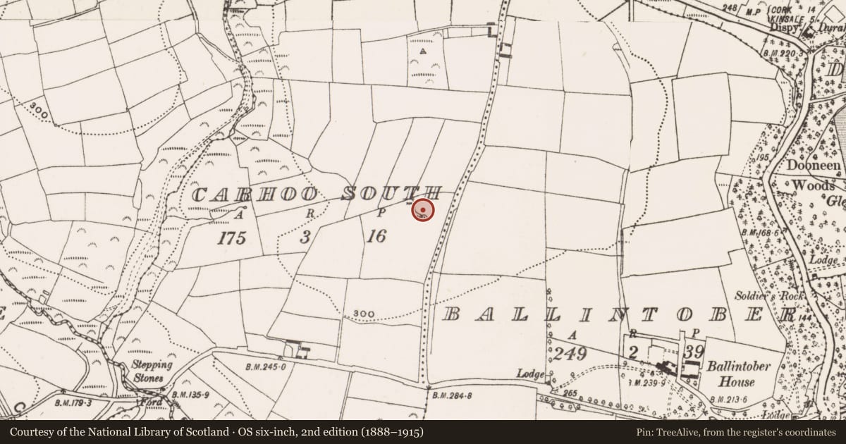 Ordnance Survey six-inch map, 2nd edition (1888–1915) covering the location of Ringfort - rath, Carhoo South, County Cork, with a pin at the register's coordinates
