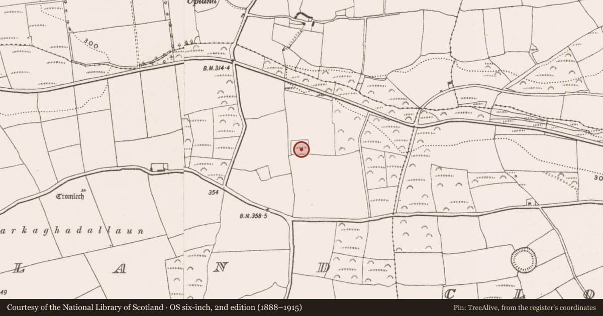 Ordnance Survey six-inch map, 2nd edition (1888–1915) covering the location of Moated site, Tullyland, County Cork, with a pin at the register's coordinates