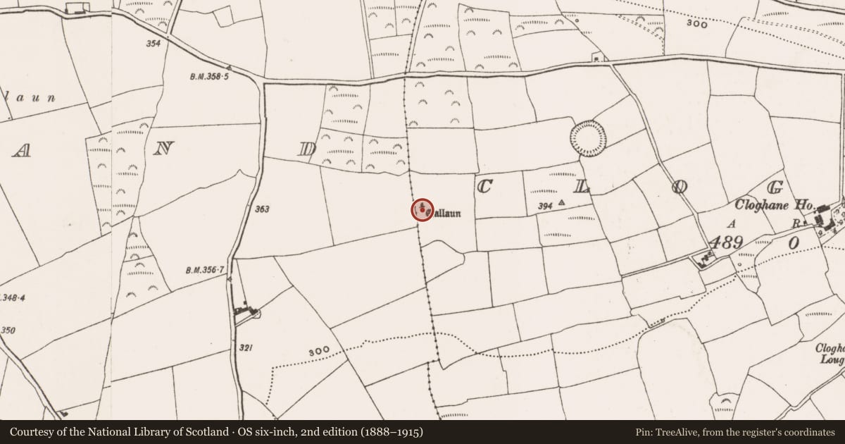 Ordnance Survey six-inch map, 2nd edition (1888–1915) covering the location of Standing stone, Cloghane, County Cork, with a pin at the register's coordinates
