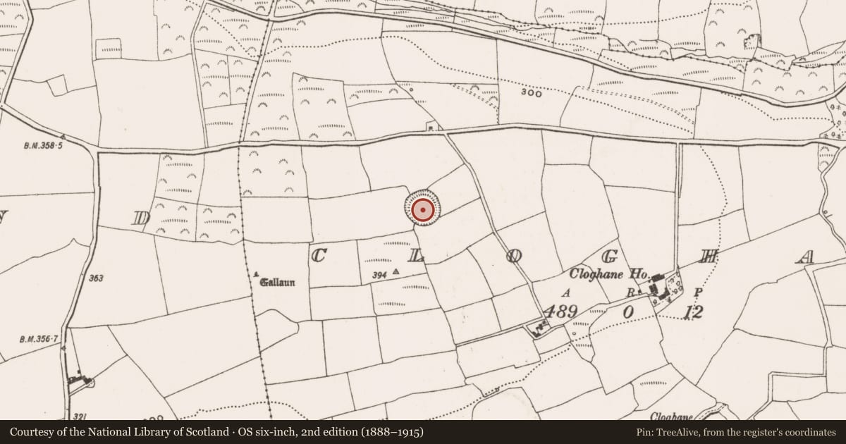 Ordnance Survey six-inch map, 2nd edition (1888–1915) covering the location of Ringfort - rath, Cloghane, County Cork, with a pin at the register's coordinates