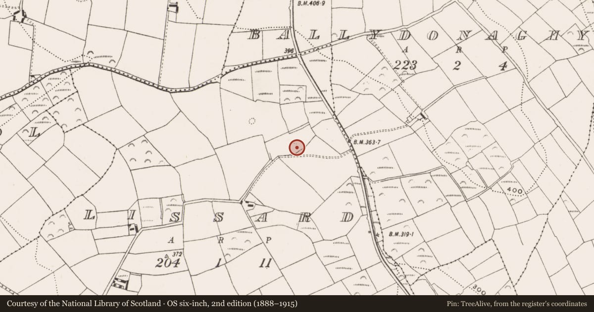 Ordnance Survey six-inch map, 2nd edition (1888–1915) covering the location of Ringfort - rath, Lissard, County Cork, with a pin at the register's coordinates