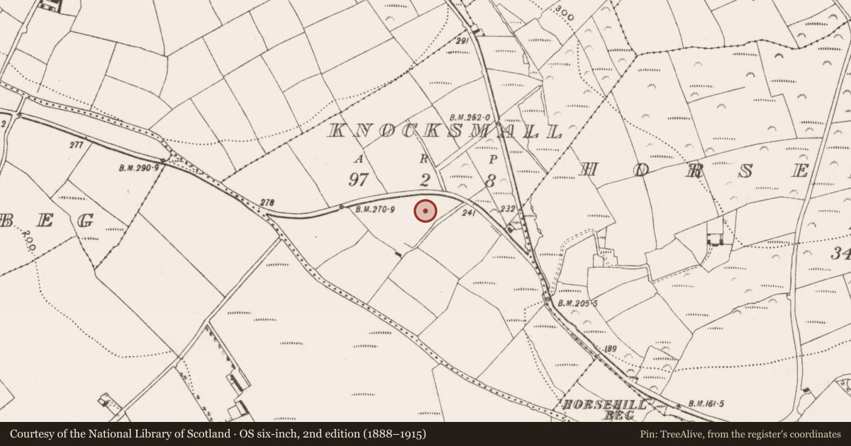 Ordnance Survey six-inch map, 2nd edition (1888–1915) covering the location of Fulacht fia, Knocksmall, County Cork, with a pin at the register's coordinates