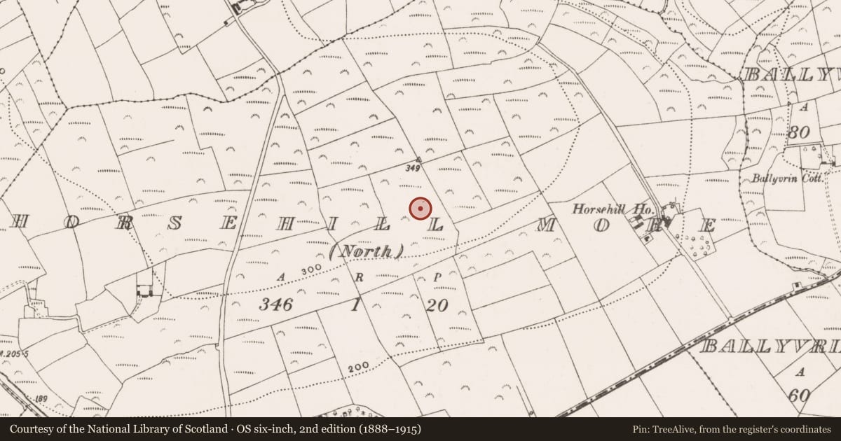 Ordnance Survey six-inch map, 2nd edition (1888–1915) covering the location of Standing stone, Horsehill More (North), County Cork, with a pin at the register's coordinates