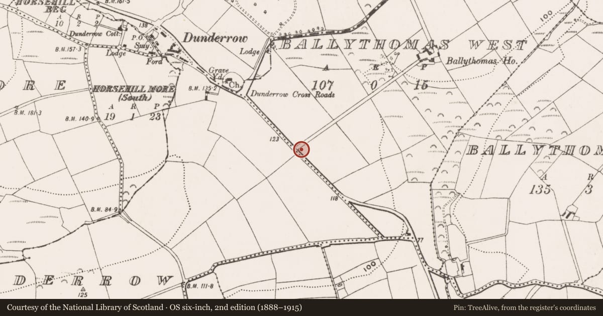 Ordnance Survey six-inch map, 2nd edition (1888–1915) covering the location of Bullaun stone, Ballythomas West, County Cork, with a pin at the register's coordinates