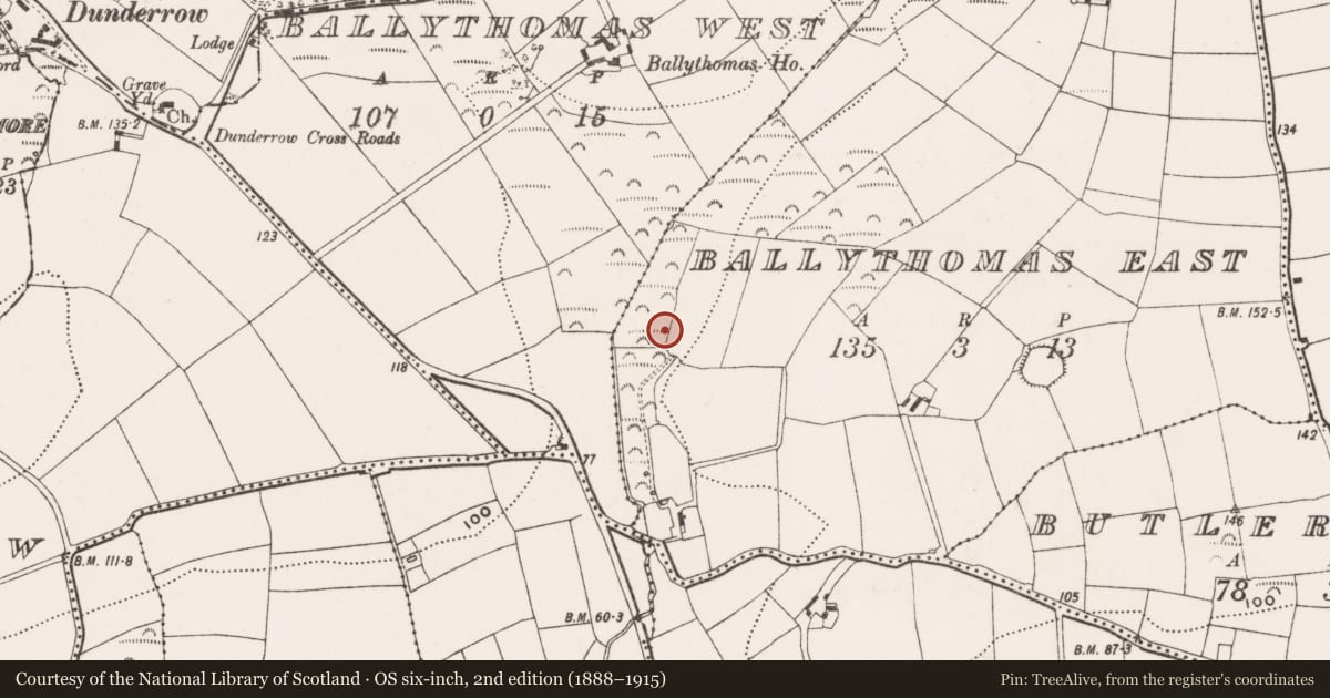 Ordnance Survey six-inch map, 2nd edition (1888–1915) covering the location of Fulacht fia, Ballythomas East, County Cork, with a pin at the register's coordinates