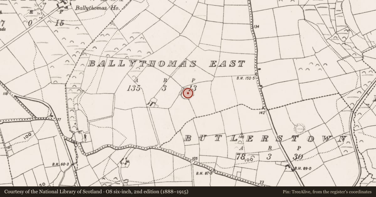 Ordnance Survey six-inch map, 2nd edition (1888–1915) covering the location of Ringfort - rath, Ballythomas East, County Cork, with a pin at the register's coordinates