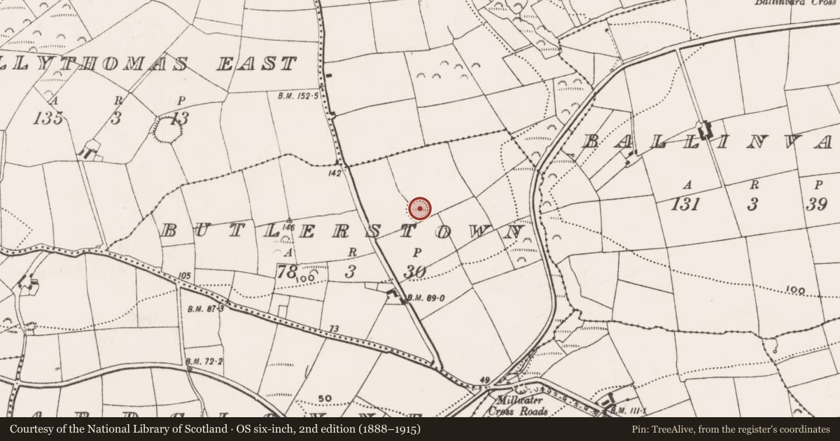 Ordnance Survey six-inch map, 2nd edition (1888–1915) covering the location of Enclosure, Butlerstown, County Cork, with a pin at the register's coordinates