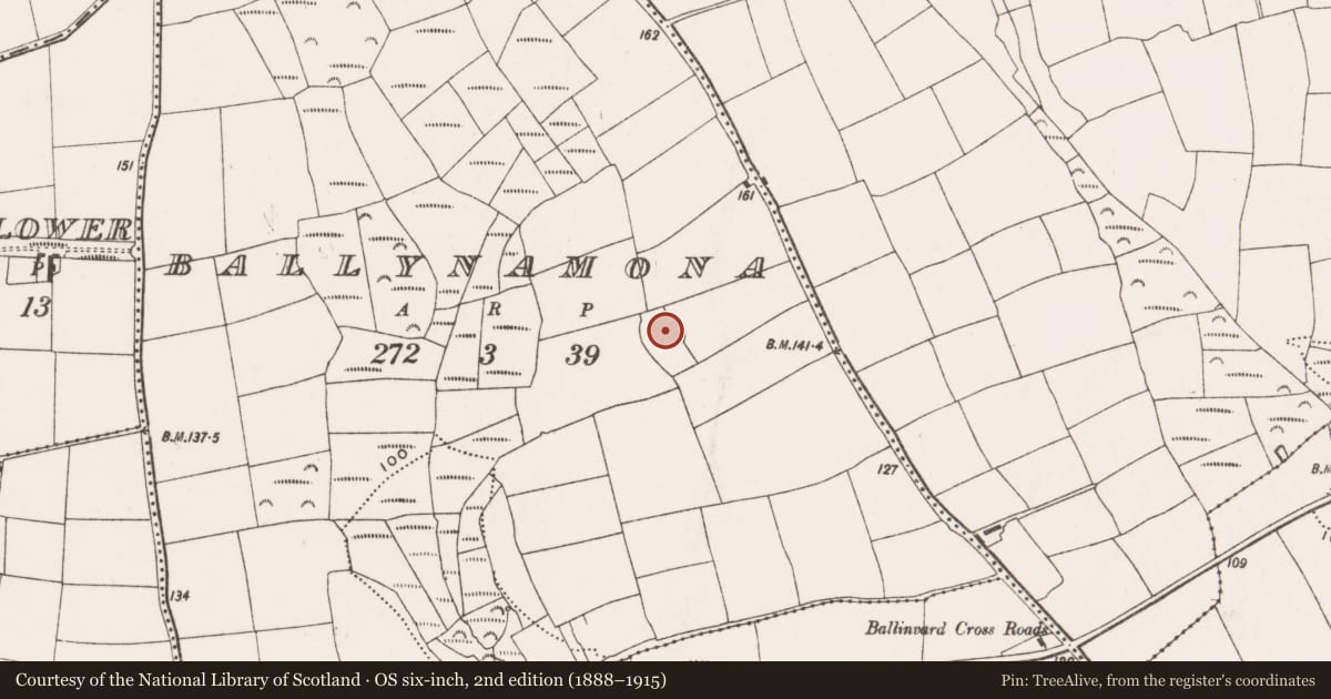Ordnance Survey six-inch map, 2nd edition (1888–1915) covering the location of Ringfort - rath, Ballynamona, County Cork, with a pin at the register's coordinates