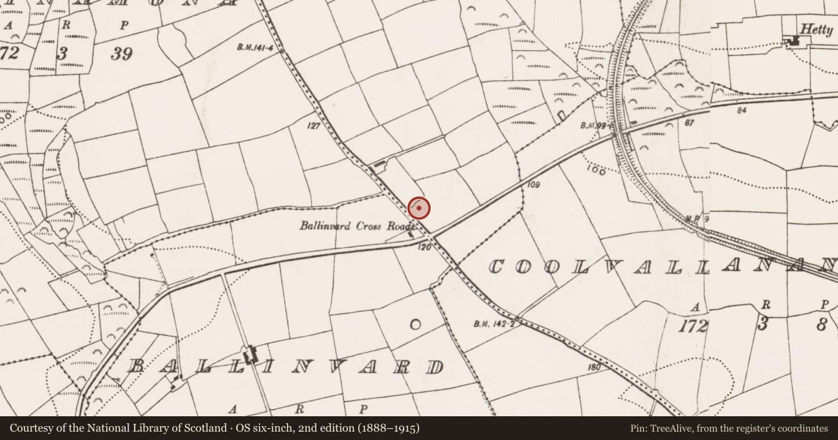 Ordnance Survey six-inch map, 2nd edition (1888–1915) covering the location of Ringfort - rath, Mellifontstown, County Cork, with a pin at the register's coordinates