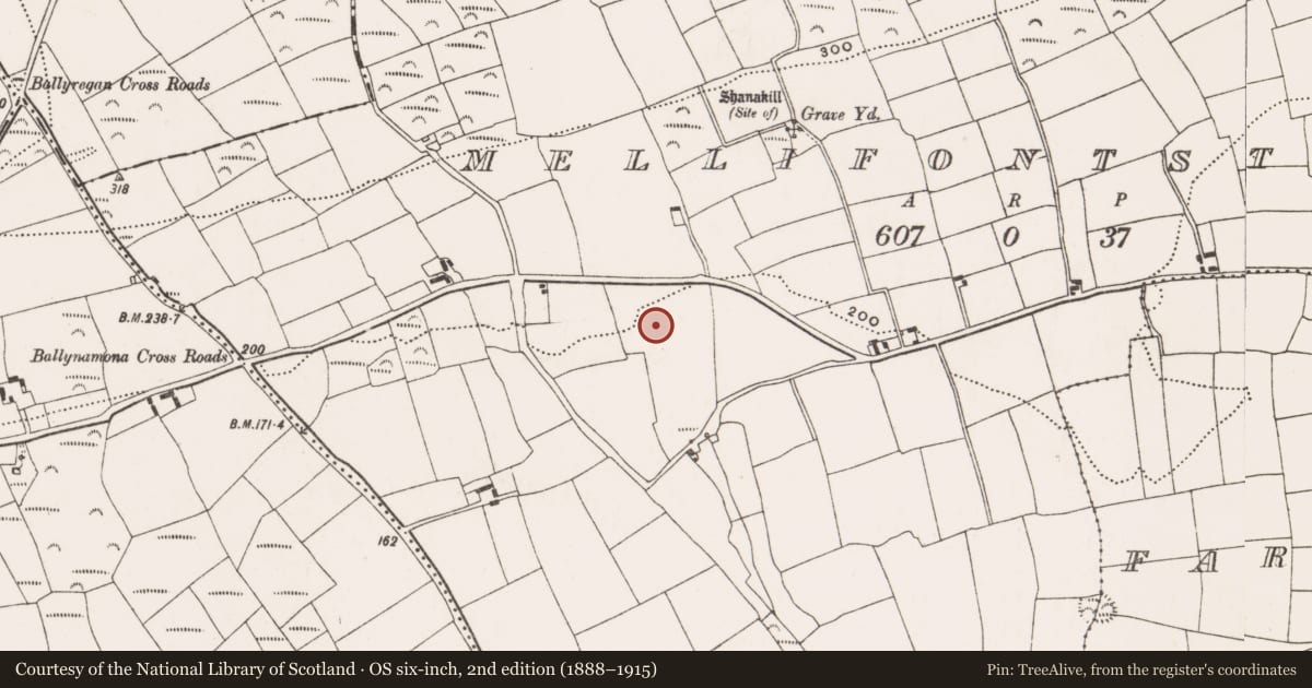 Ordnance Survey six-inch map, 2nd edition (1888–1915) covering the location of Ringfort - rath, Mellifontstown, County Cork, with a pin at the register's coordinates