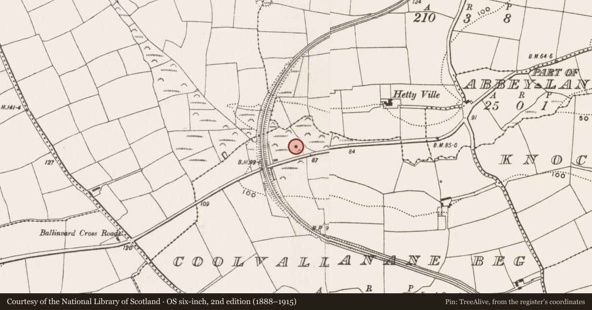 Ordnance Survey six-inch map, 2nd edition (1888–1915) covering the location of Fulacht fia, Coolvallanane Beg, County Cork, with a pin at the register's coordinates