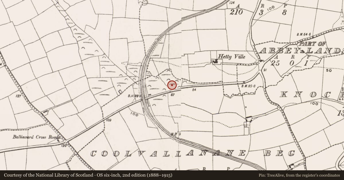 Ordnance Survey six-inch map, 2nd edition (1888–1915) covering the location of Fulacht fia, Coolvallanane Beg, County Cork, with a pin at the register's coordinates