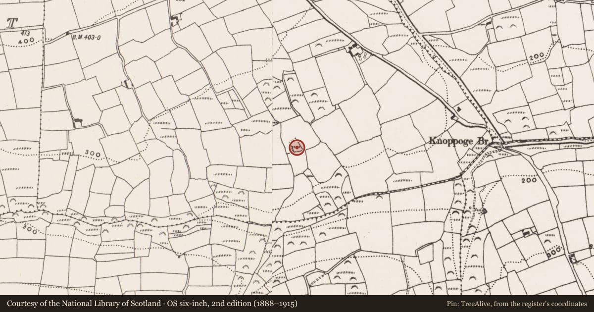 Ordnance Survey six-inch map, 2nd edition (1888–1915) covering the location of Moated site, Ratharoon East, County Cork, with a pin at the register's coordinates