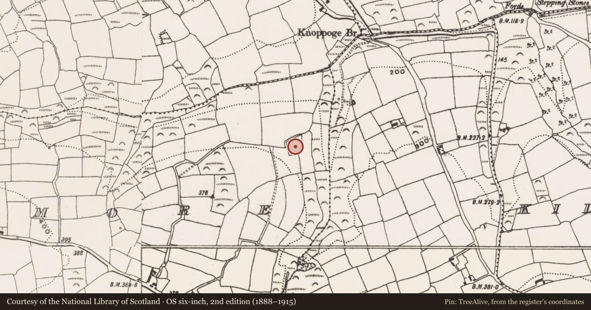 Ordnance Survey six-inch map, 2nd edition (1888–1915) covering the location of Moated site, Ballymore, County Cork, with a pin at the register's coordinates