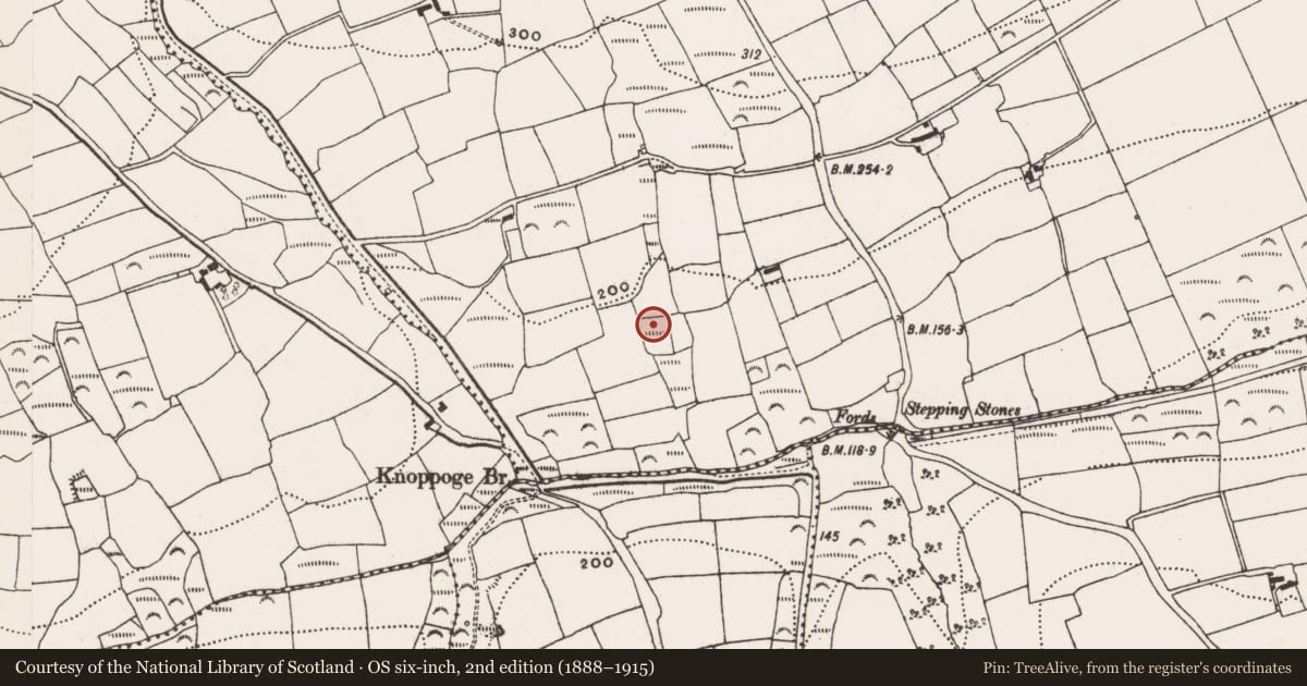 Ordnance Survey six-inch map, 2nd edition (1888–1915) covering the location of Moated site, Rathdrought, County Cork, with a pin at the register's coordinates