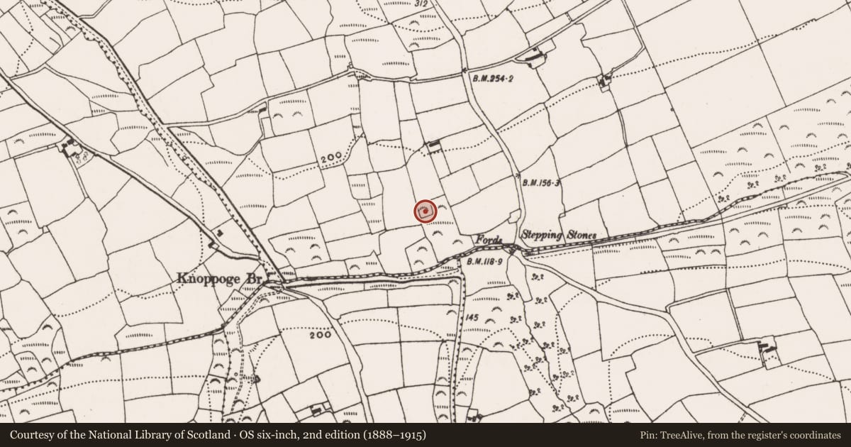 Ordnance Survey six-inch map, 2nd edition (1888–1915) covering the location of Moated site, Rathdrought, County Cork, with a pin at the register's coordinates