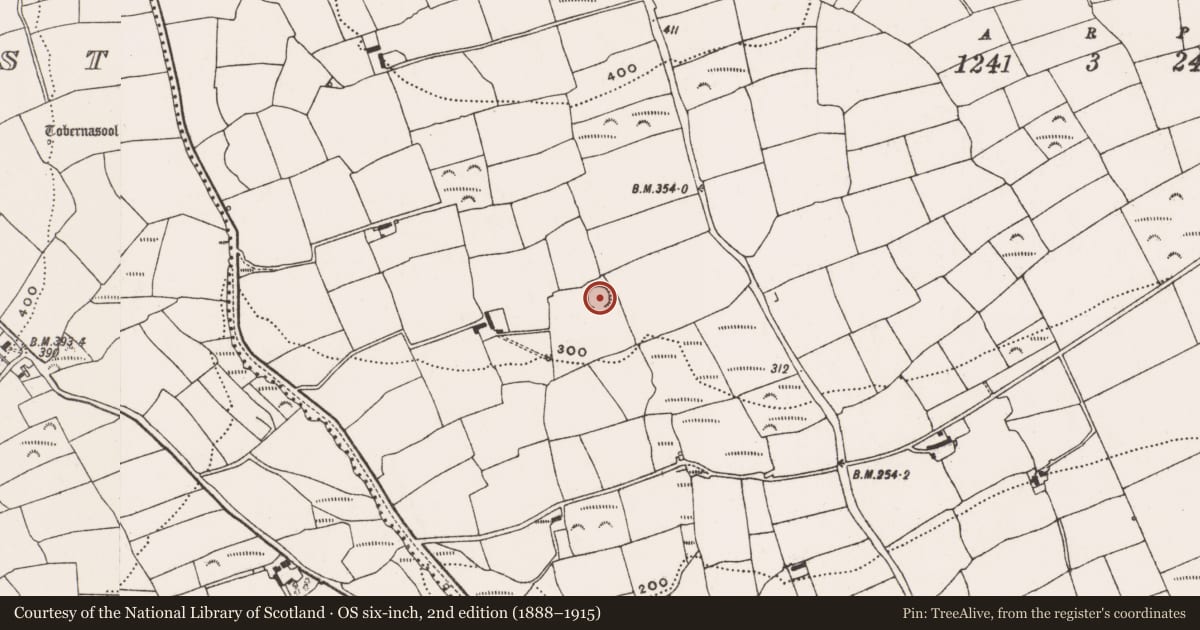 Ordnance Survey six-inch map, 2nd edition (1888–1915) covering the location of Ringfort - rath, Rathdrought, County Cork, with a pin at the register's coordinates