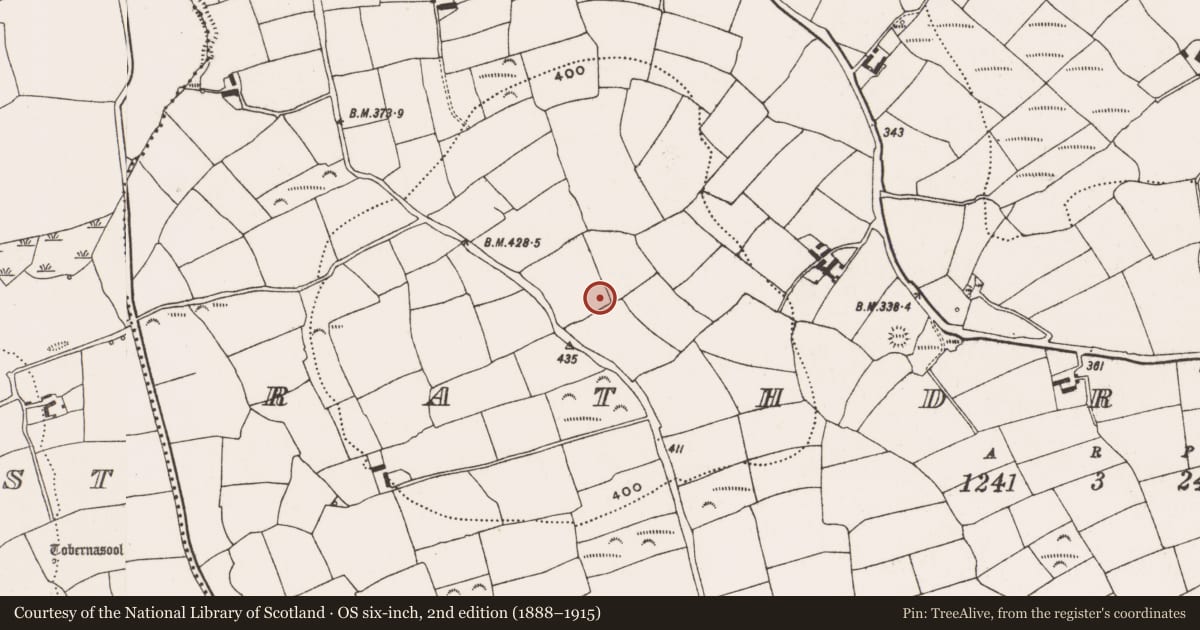 Ordnance Survey six-inch map, 2nd edition (1888–1915) covering the location of Standing stone, Rathdrought, County Cork, with a pin at the register's coordinates
