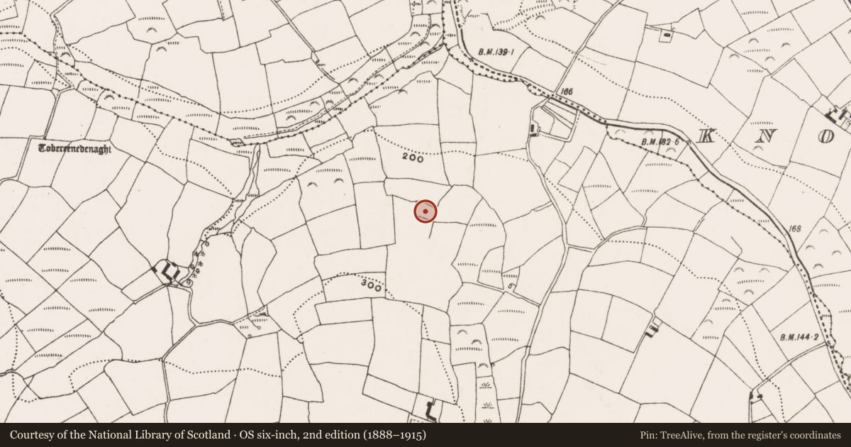 Ordnance Survey six-inch map, 2nd edition (1888–1915) covering the location of Moated site, Rathdrought, County Cork, with a pin at the register's coordinates