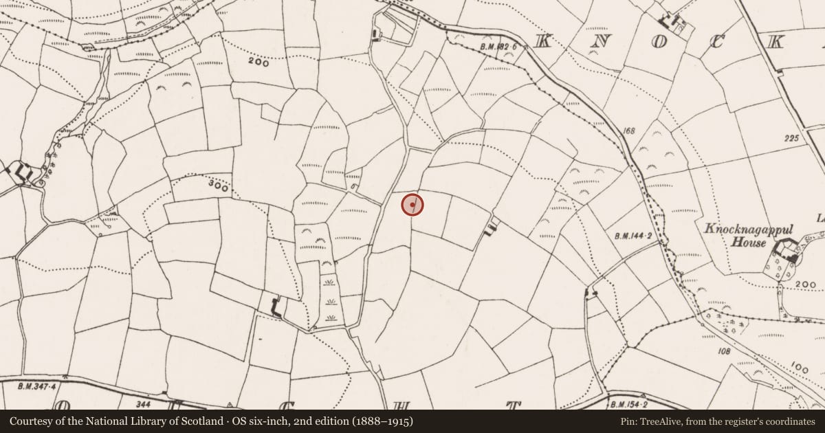 Ordnance Survey six-inch map, 2nd edition (1888–1915) covering the location of Fulacht fia, Rathdrought, County Cork, with a pin at the register's coordinates