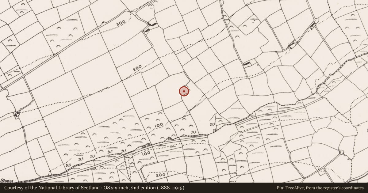 Ordnance Survey six-inch map, 2nd edition (1888–1915) covering the location of Moated site, Rathdrought, County Cork, with a pin at the register's coordinates