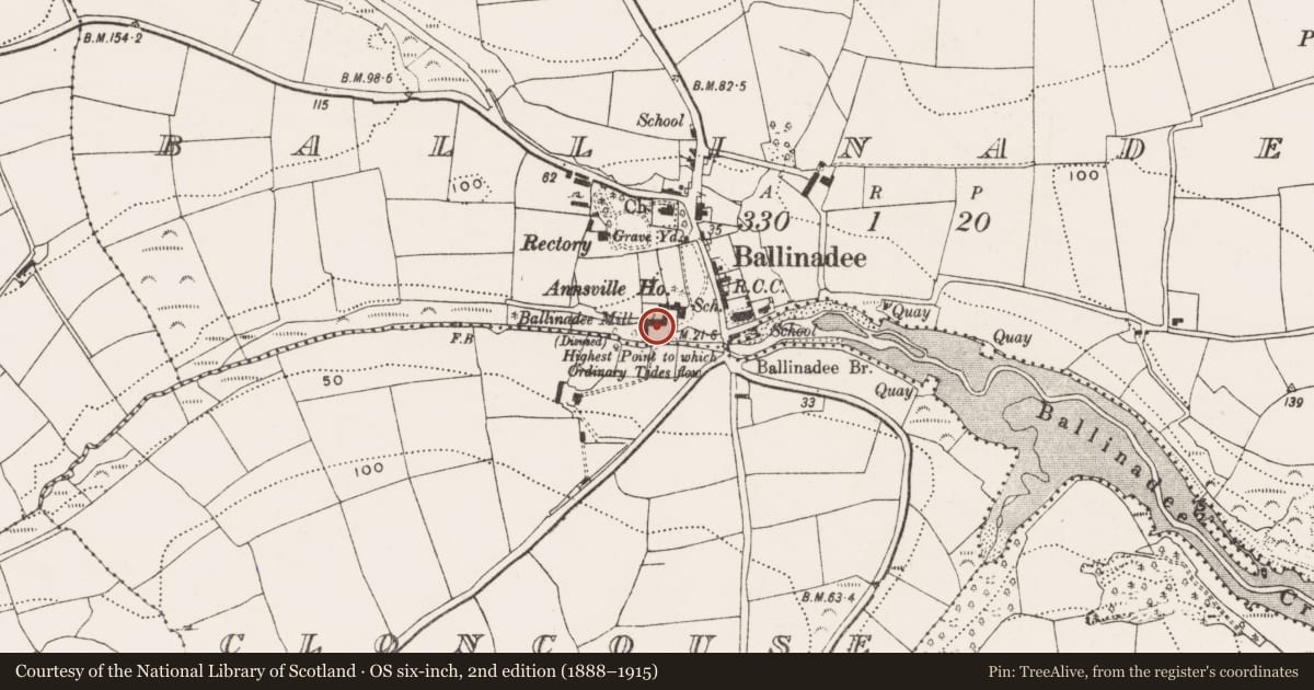 Ordnance Survey six-inch map, 2nd edition (1888–1915) covering the location of Mill - unclassified, Ballinadee, County Cork, with a pin at the register's coordinates