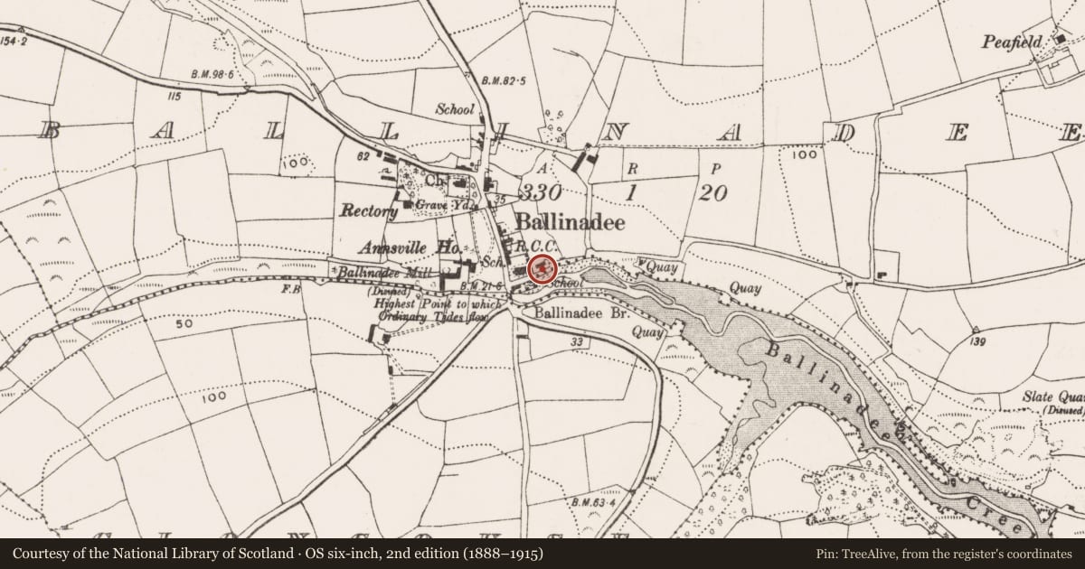 Ordnance Survey six-inch map, 2nd edition (1888–1915) covering the location of Graveyard, Ballinadee, County Cork, with a pin at the register's coordinates
