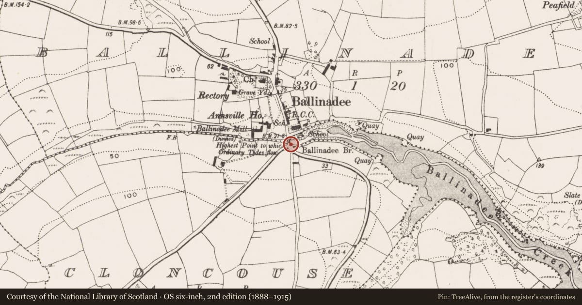Ordnance Survey six-inch map, 2nd edition (1888–1915) covering the location of Bridge, Ballinadee, County Cork, with a pin at the register's coordinates