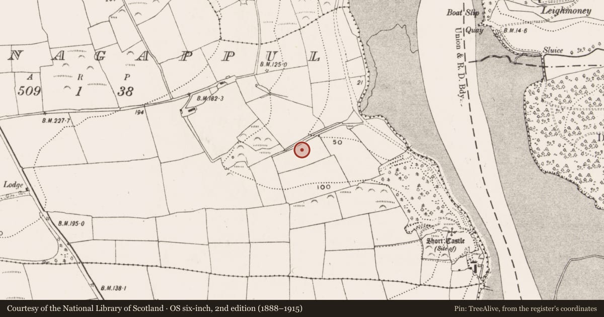 Ordnance Survey six-inch map, 2nd edition (1888–1915) covering the location of Fulacht fia, Knocknagappul, County Cork, with a pin at the register's coordinates