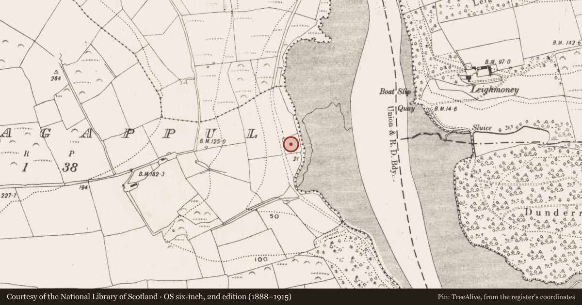Ordnance Survey six-inch map, 2nd edition (1888–1915) covering the location of Moated site, Knocknagappul, County Cork, with a pin at the register's coordinates