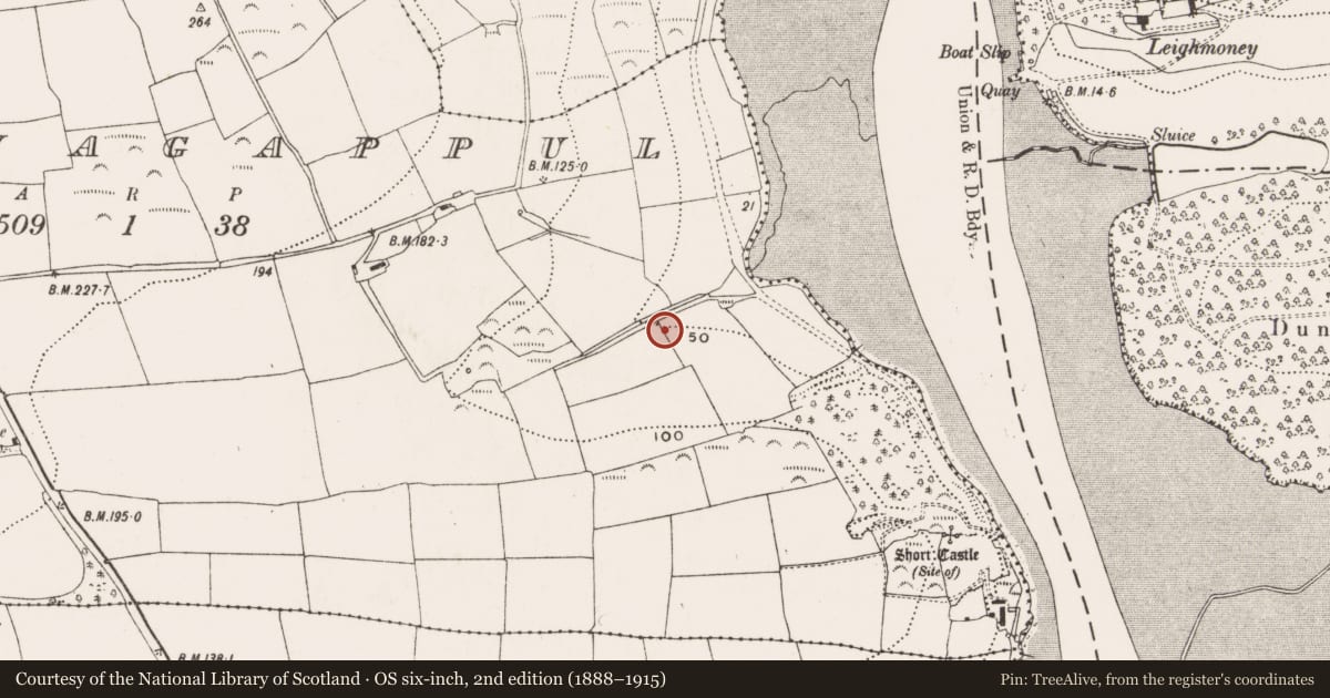 Ordnance Survey six-inch map, 2nd edition (1888–1915) covering the location of Fulacht fia, Knocknagappul, County Cork, with a pin at the register's coordinates