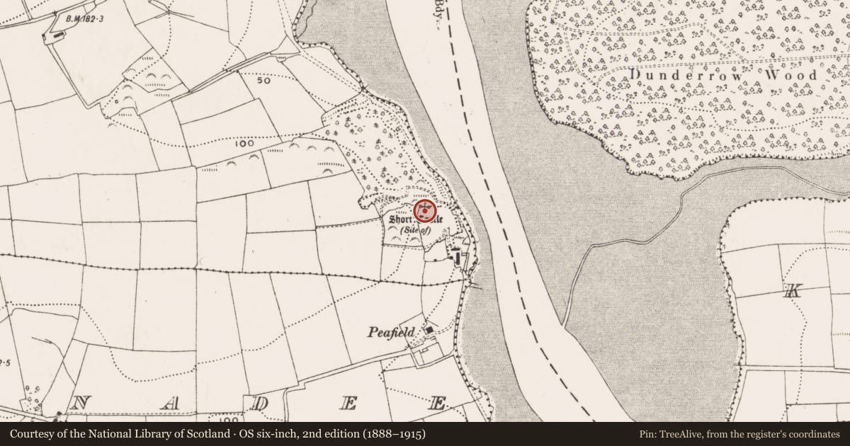 Ordnance Survey six-inch map, 2nd edition (1888–1915) covering the location of Castle - unclassified, Knocknagappul, County Cork, with a pin at the register's coordinates