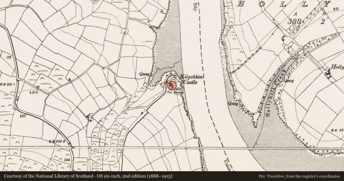 Ordnance Survey six-inch map, 2nd edition (1888–1915) covering the location of Castle - tower house, Kilgobbin, County Cork, with a pin at the register's coordinates