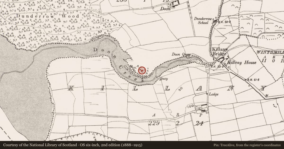 Ordnance Survey six-inch map, 2nd edition (1888–1915) covering the location of Earthwork, Dunderrow, County Cork, with a pin at the register's coordinates