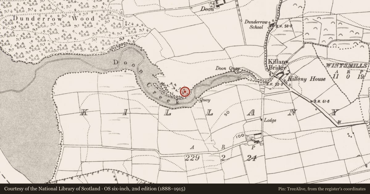 Ordnance Survey six-inch map, 2nd edition (1888–1915) covering the location of Souterrain, Dunderrow, County Cork, with a pin at the register's coordinates
