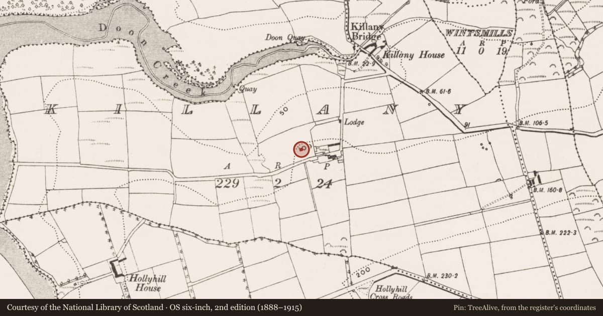 Ordnance Survey six-inch map, 2nd edition (1888–1915) covering the location of Ringfort - rath, Killany, County Cork, with a pin at the register's coordinates