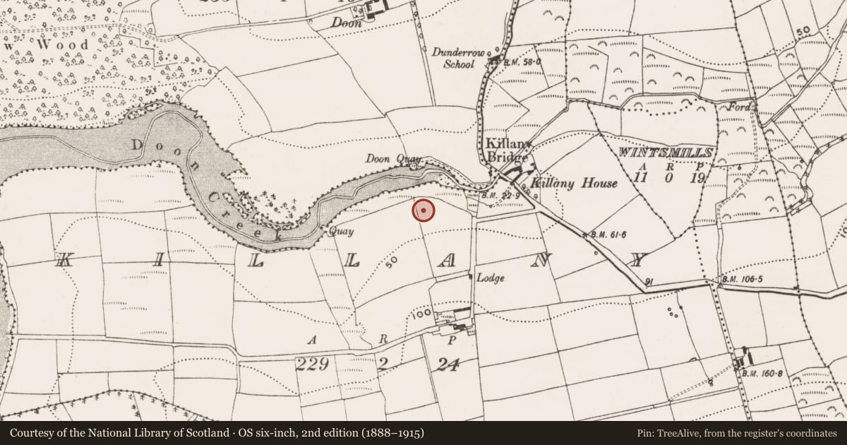 Ordnance Survey six-inch map, 2nd edition (1888–1915) covering the location of Burial ground, Killany, County Cork, with a pin at the register's coordinates