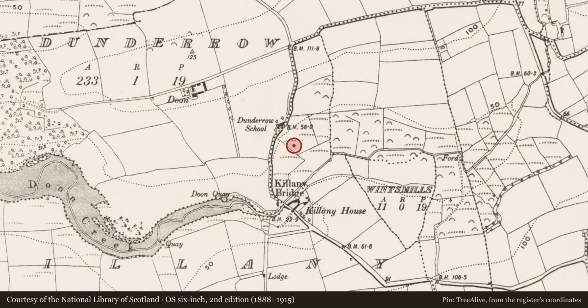 Ordnance Survey six-inch map, 2nd edition (1888–1915) covering the location of Fulacht fia, Killany, County Cork, with a pin at the register's coordinates