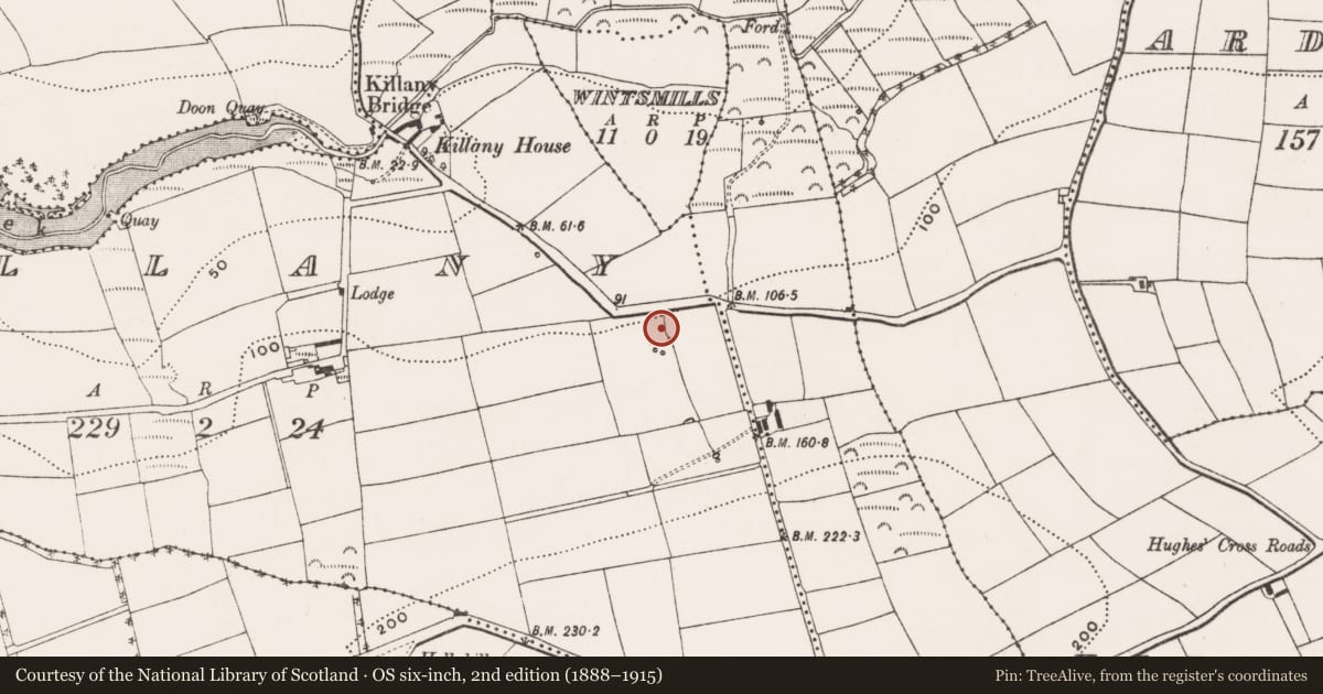 Ordnance Survey six-inch map, 2nd edition (1888–1915) covering the location of Fulacht fia, Killany, County Cork, with a pin at the register's coordinates