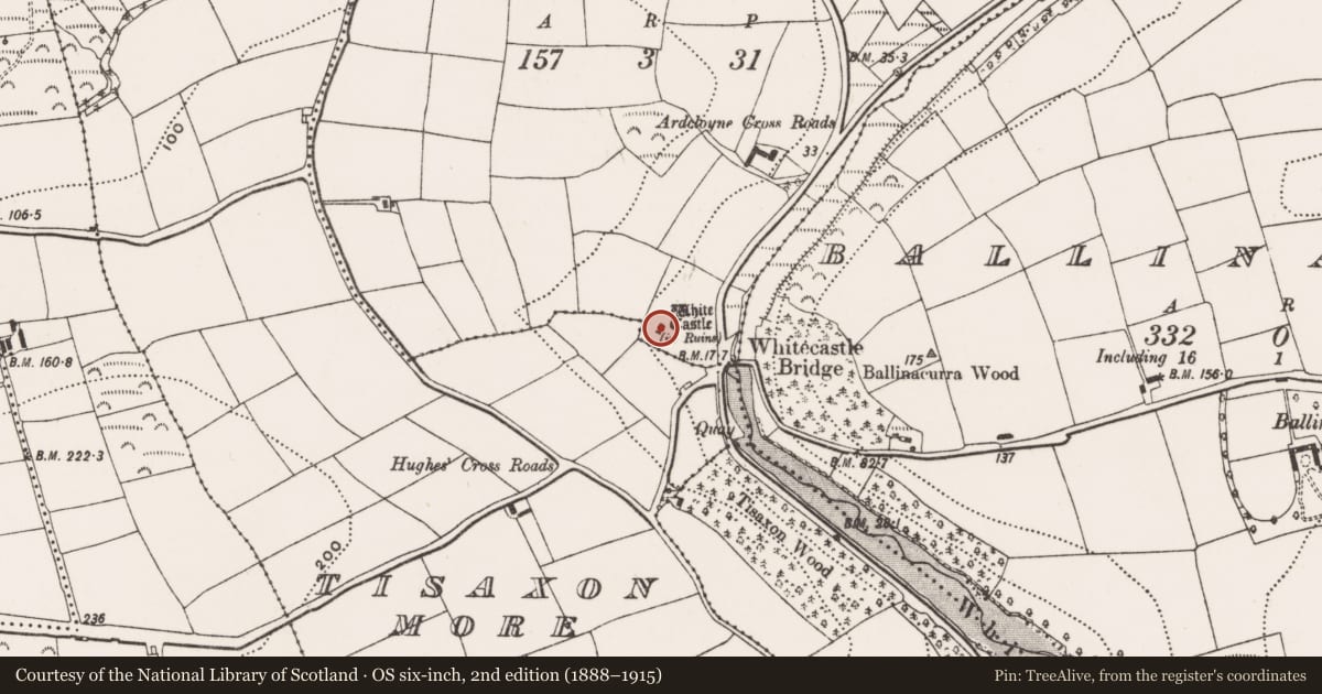 Ordnance Survey six-inch map, 2nd edition (1888–1915) covering the location of House - fortified house, Ardcloyne, County Cork, with a pin at the register's coordinates